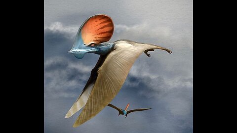 Ushiku Pteranodon
