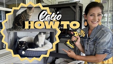 Aivituvin Prefab Catio, Unboxing Setup Tips Modification & Demo - TikTok Amazon Cat Enclosure Review