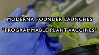 Moderna Founder Launches Aerial-spraying of RNA to Alter Gene Expression of Crops