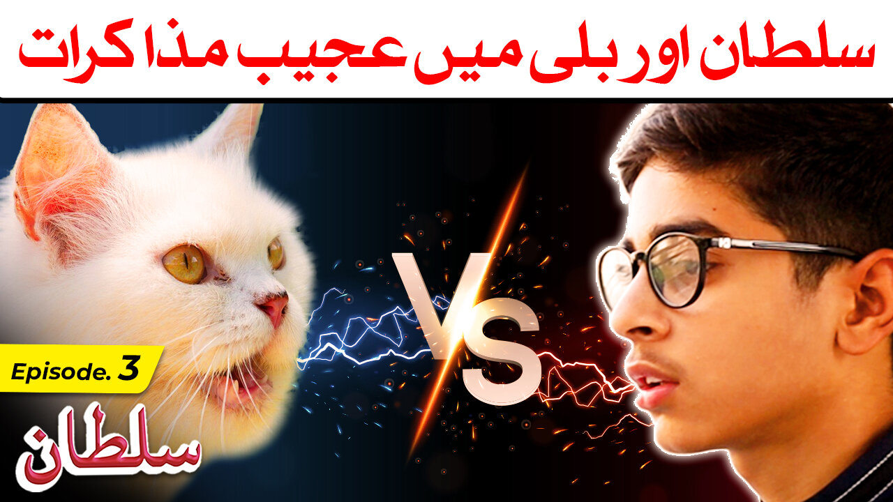 Sultan aur Billi me Ajab Muzakraat - Sultan Ep03 | سلطان اور بلی میں عجیب مذاکرات