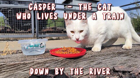 Casper - The Cat Who Lives Under A Train - Down By The River