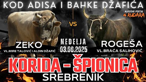 Korida Špionica Srebrenik kod Džafića