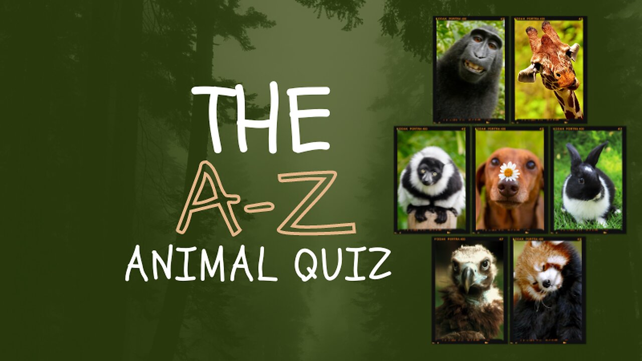 The A-Z Animal Quiz