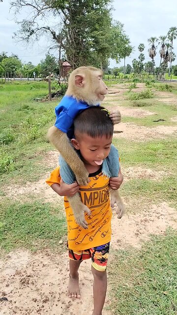 Perfect video SokYaa, OG, Pao & Mom Are Famous Around The World #shorts #anime #trend #edit