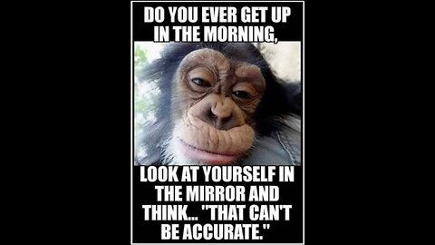 Bla bla shut the fuck up or suiside