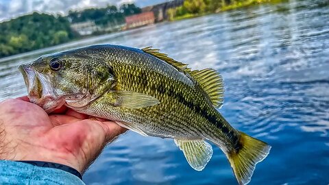 fishing till race time