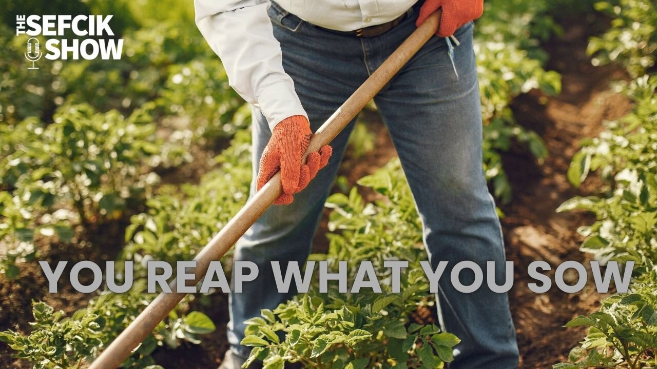 You Reap What You Sow