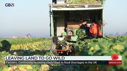 "UK Landowners Compensated to Trade Food Fields for Wastelands: A Greener Revolution"