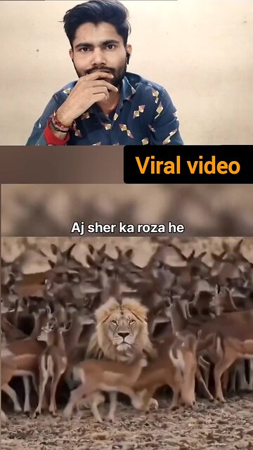sher koi bhi Janwar Ko nahin Kha Raha Hai