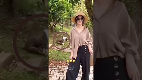 Funny Animals #funnyanimals #animals #pets #shorts