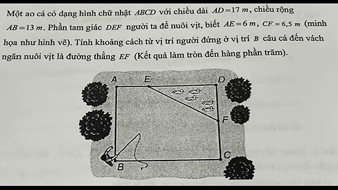 Toán 10: Một ao cá có dạng hình chữ nhật ABCD với chiều dài AD = 17m và chiều rộng AB = 13m.