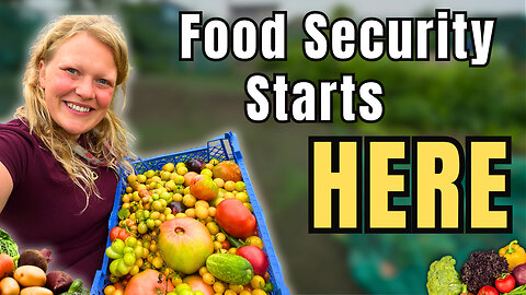 3 EASY Ways To Become More Self Sufficient NOW without Breaking the BANK!