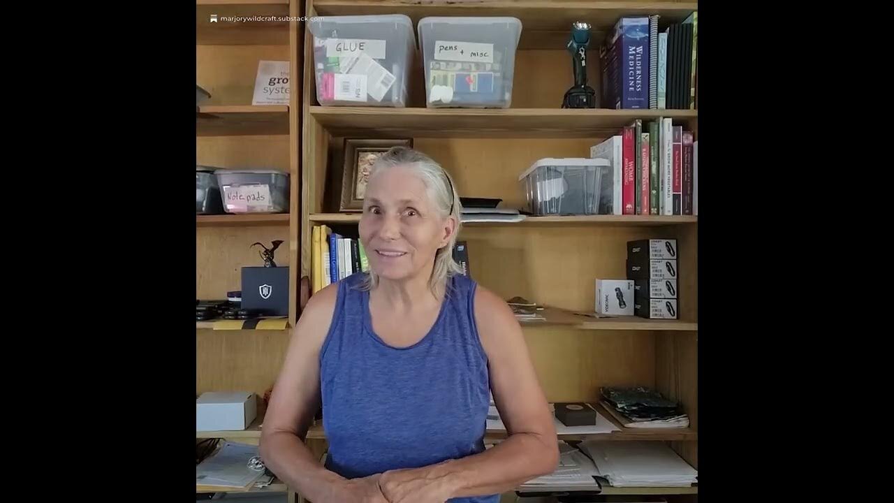 Business Planning During Dollar Collapse