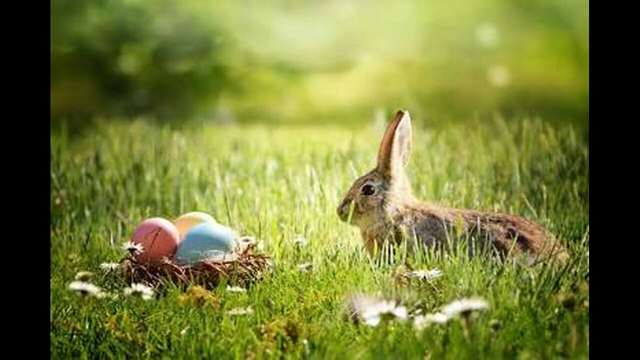 What Came First..The Bunny Or The Egg?