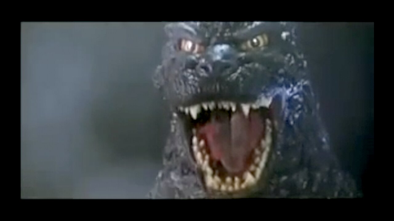 Godzilla vs Gamera