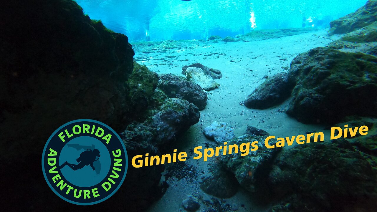 Ginnie Cavern Dive