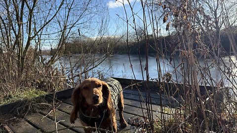 07/01/26 trail run with willow