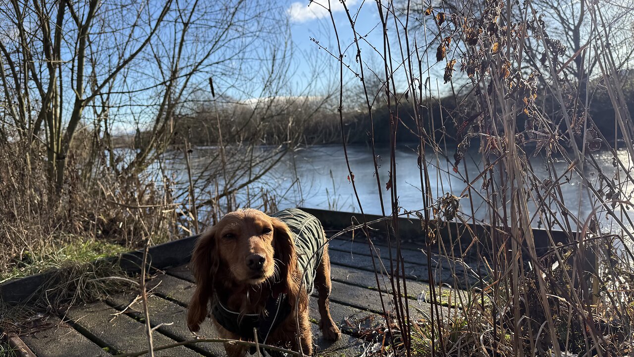 07/01/26 trail run with willow