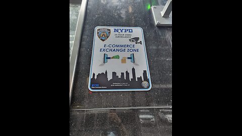 I've contacted more than 1,000 US government offices about the New York City police harassing me.