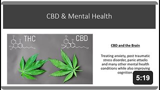 CBD & The Brain