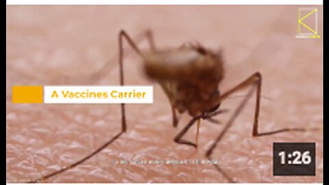 "Chinese Study Explores Using Mosquitoes for Vaccine Delivery"