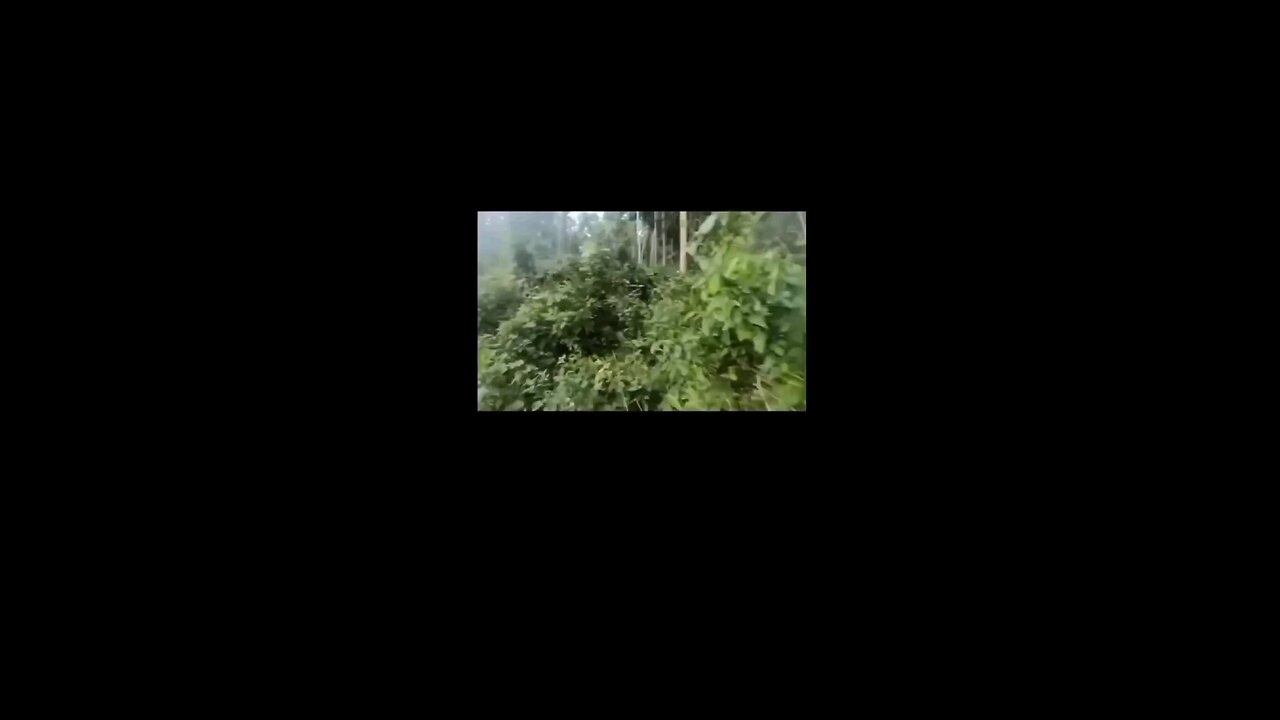 Firefight erupted in southern part of the Philippines between govt forces and Muslim insurgency