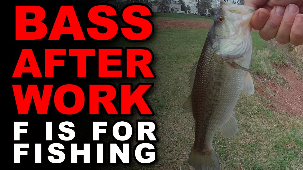 Bass After Work