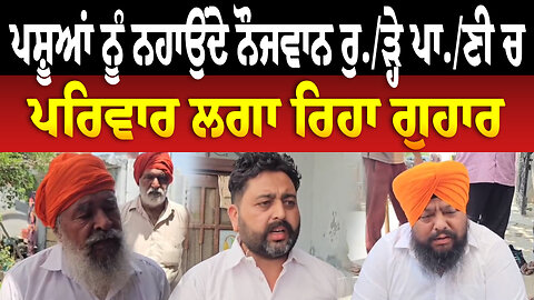 ਪਸ਼ੂਆਂ ਨੂੰ ਨਹਾਉਂਦੇ ਨੌਜਵਾਨ ਰੁ./ੜ੍ਹੇ ਪਾ./ਣੀ ਚ, ਪਰਿਵਾਰ ਲਗਾ ਰਿਹਾ ਗੁਹਾਰ