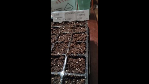 Seeds planted