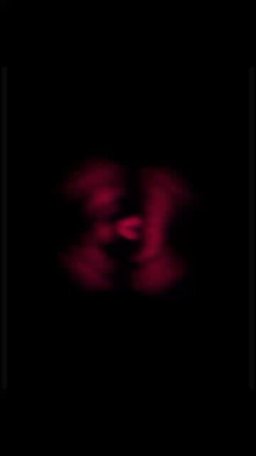 It’s All A Show! 👀