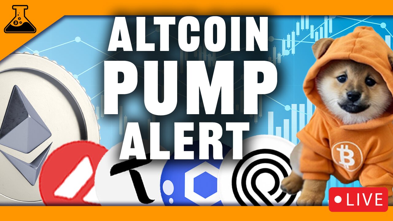 🚨 Altcoin Pump Alert! Bitcoin Targets?! | Altseason 2025? Crypto Signals & Targets