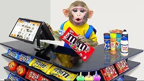 KiKi Monkey pretend play as Supermarket Cashier - New Funny Animals Video