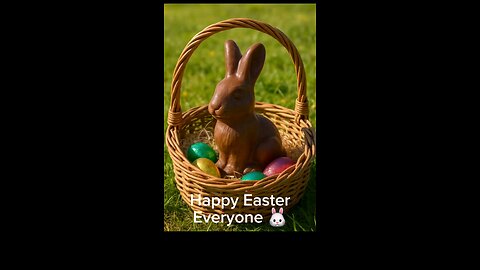 Chocolate Bunny Or Real Bunny?