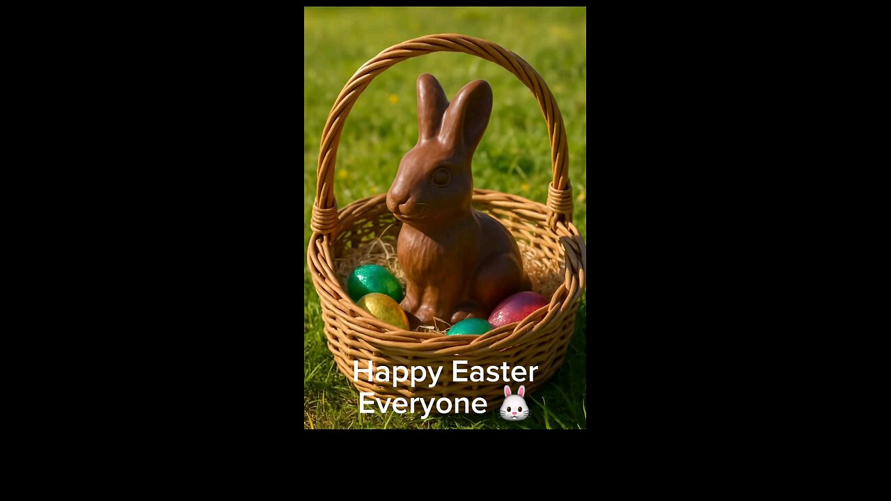 Chocolate Bunny Or Real Bunny?