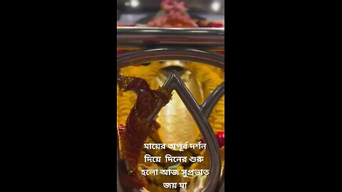 JOY MAA TARA