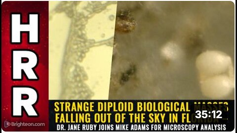 "Unusual Sky-Fallen Diploid Biologic Masses in Florida Analyzed by Dr. Jane Ruby & Mike Adams"