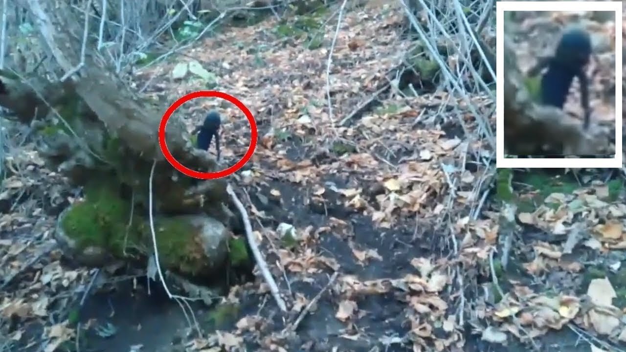 Alien a mysterious creature or a dwarf in Russian forest caught on camera