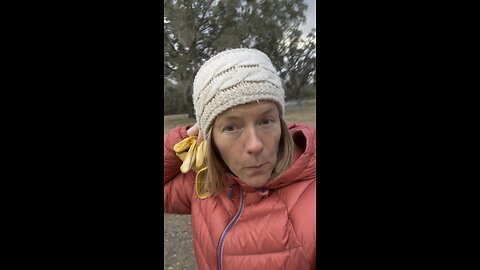 Our coldest night yet in Florida