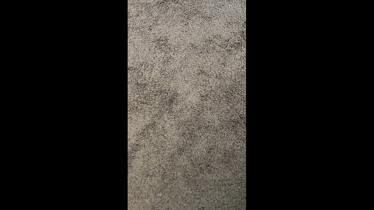 Test 4