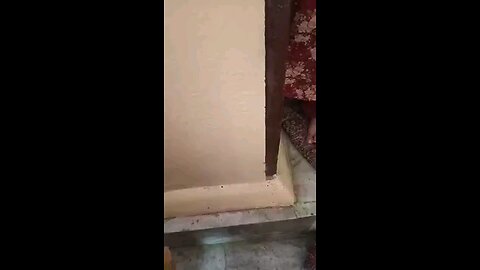 satisfying Video