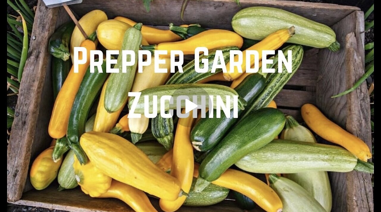 Prepper Garden: Grow Zucchini