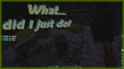 What….did I just do! / ARK R1 E11