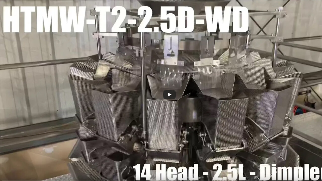 HTMW-T2 2.5oz Beef Jerky Combination Weigher | Automated Jerky Packaging Machine | Hightek USA