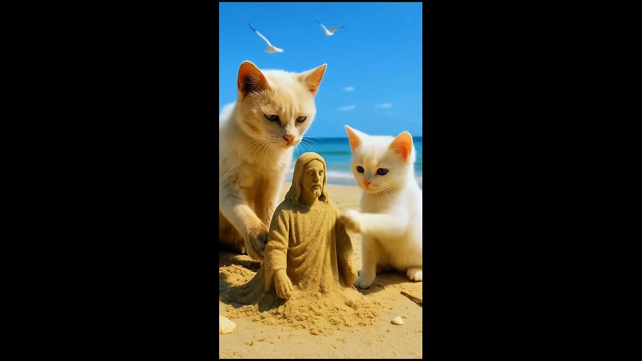 Animals channel