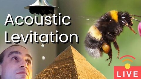 "Unveiling the Mystery: Can Bees Actually Perform Acoustic Levitation?"