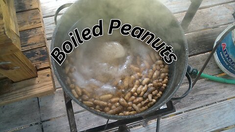 Boiled Peanuts