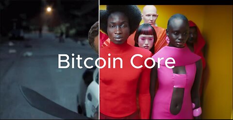 Will Bitcoin Survive in the Long Run?