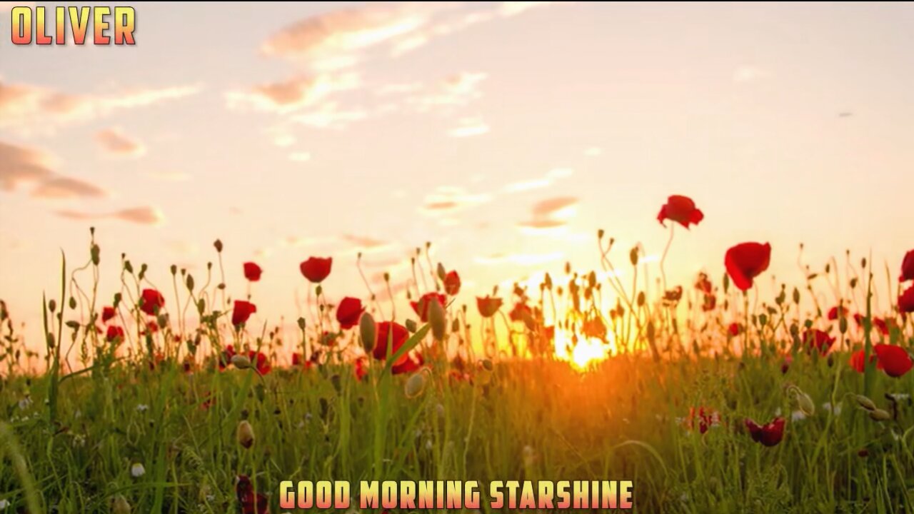 Oliver - Good Morning Starshine