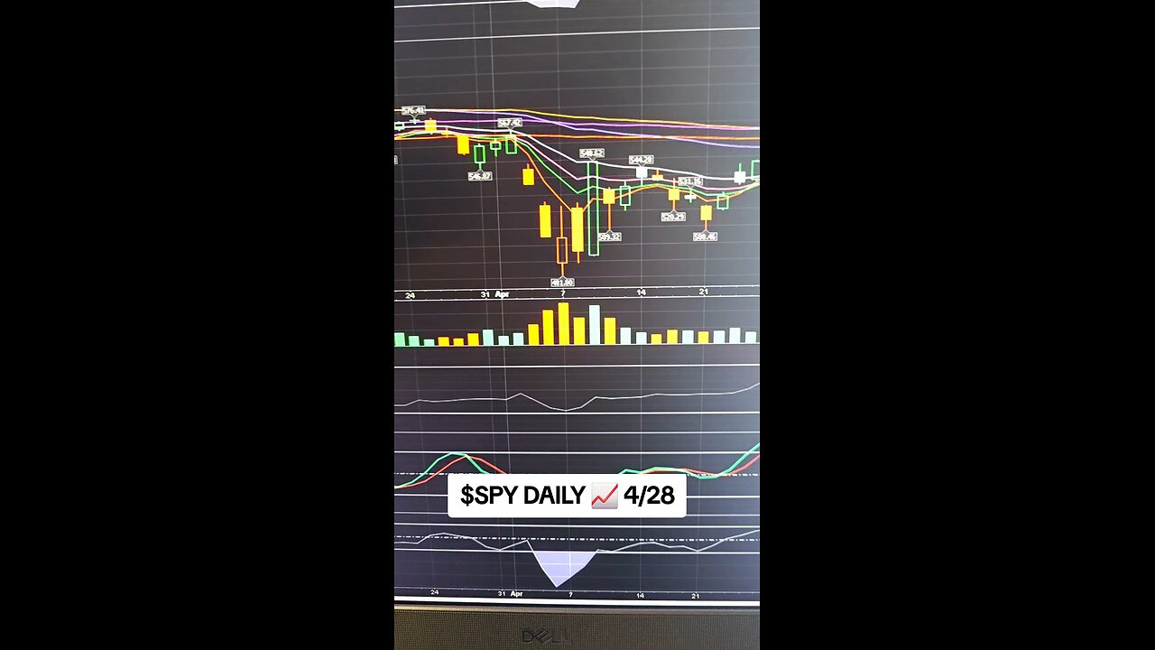 $SPY DAILY📈