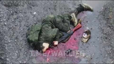 Война в Украине часть 409
